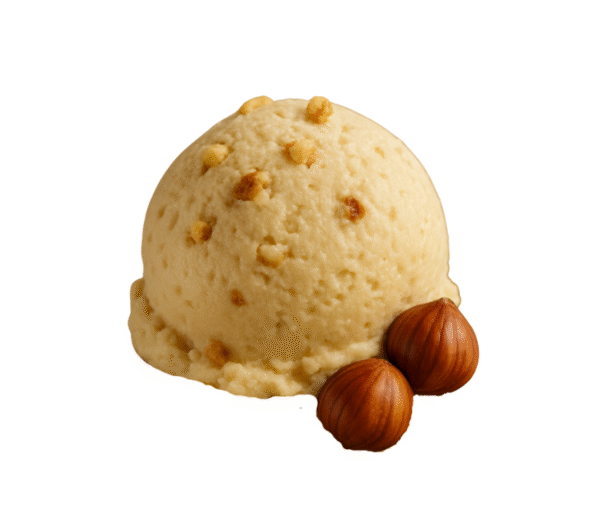 Hazelnoot